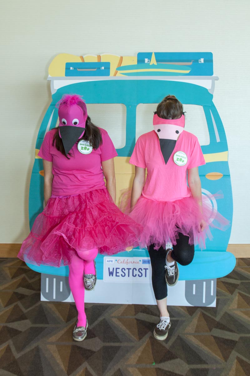 DIY Flamingo Costume  Claudette's Corner