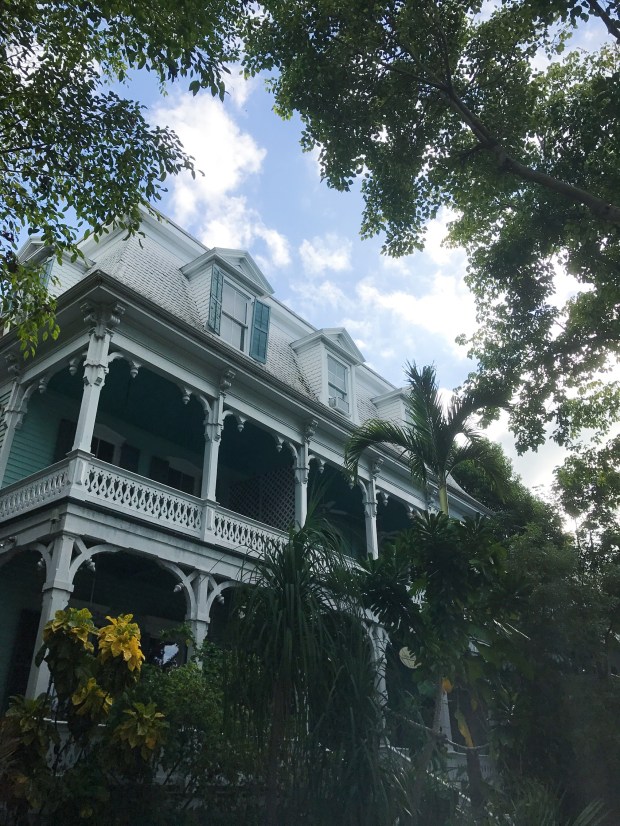 Processed with VSCO with g3 preset