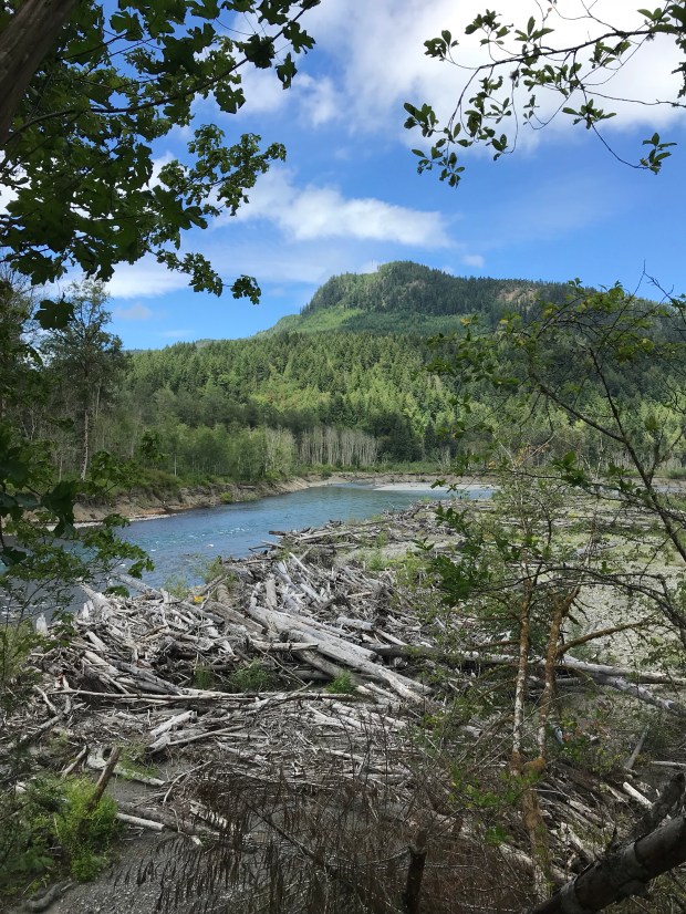 elwha river